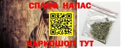 тгк Пенза