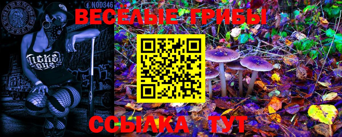 Галлюциногенные грибы Cubensis Скопин